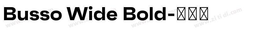 Busso Wide Bold字体转换